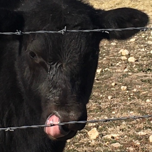 Meet your Posher, Deborah - Picture 1 of 1